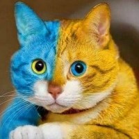 Александра плюс